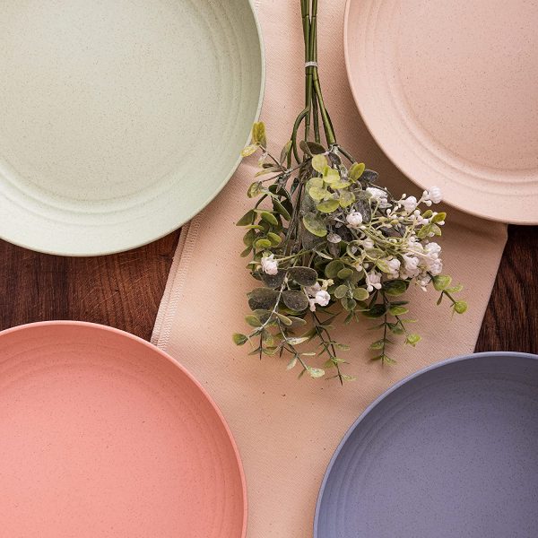 ECO VIABLE 10 Inch (25cm) Dinner Plates - Image 3